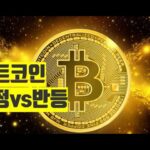 비트코인 조정 반등 coinbase 비트코인 뉴스 스테이블코인  NFT BITCOIN ETH XRP ADA  CRYPTO블록체인 2023