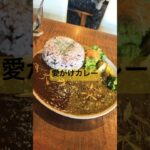 #ダイエット #筋トレ #食事 #糖尿病 #糖質制限 #血糖値 #カレー