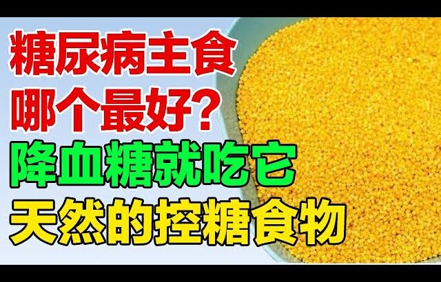 糖尿病主食哪个最好？降血糖吃它就对了，健康天然的控糖食物【养生有道】