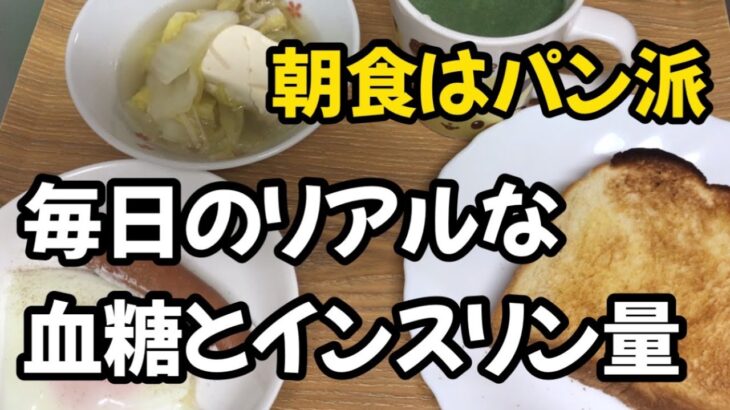 【1型糖尿病】朝食はパン派！毎日の血糖測定とインスリン量　映えないけどコントロールは良好な食事内容　インスリンポンプ使用中の主婦