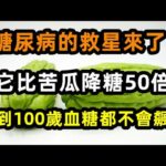 糖尿病的救星來了！它比苦瓜降糖50倍，吃1次等於換血1次，血糖降至平穩，高血脂消失了！活到100歲血， 。【心靈舒果】