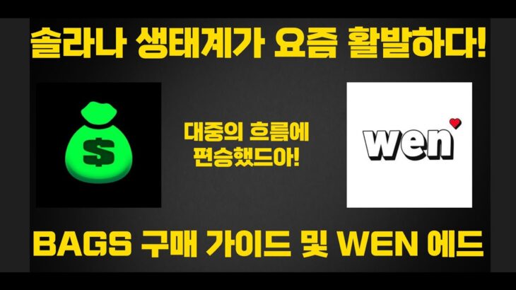 솔라나 생태계 Bags OG NFT 구매 및 Wen 에어드랍 클레임/Dmail 중간 점검