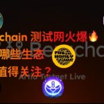 Berachain 测试网火爆，还有哪些生态NFT值得关注？#berachain #airdrop TheHoneyJar Beradoge $BDOGE 🐻熊链