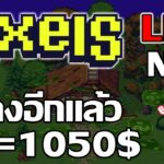 [ LIVE ] Pixels (Game NFT ) : ใกล้ปี 2024 แล้ว EP.41