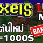 [ LIVE ] Pixels (Game NFT ) : ราคาเหรียญนิ่งแบบนี้ EP.42