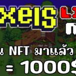 [ LIVE ] Pixels (Game NFT ) : ไม่หวั่นแม้วัน เซิฟ หน่วง EP.47