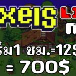 [ LIVE ] Pixels (Game NFT ) : เริ่มต้นใหม่สายฟรี EP.49