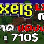 [ LIVE ] Pixels (Game NFT ) : ไอ้แดงงงงงงงงง นักสู้  EP.52