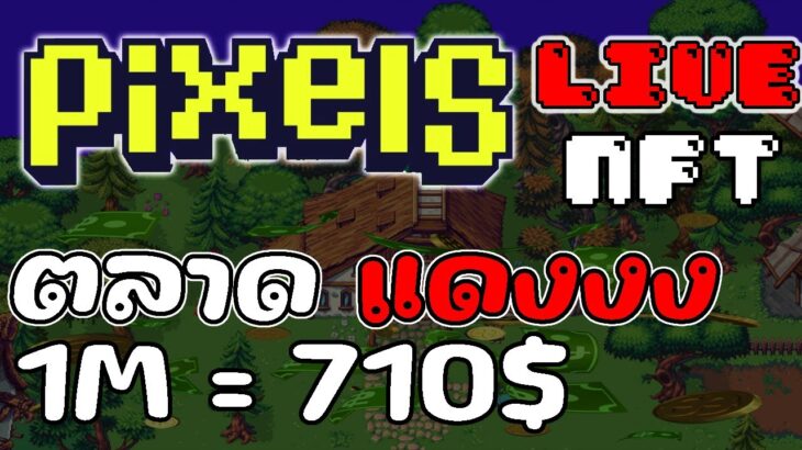 [ LIVE ] Pixels (Game NFT ) : ไอ้แดงงงงงงงงง นักสู้  EP.52