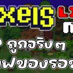 [ LIVE ] Pixels (Game NFT ) : กิจกรรมจะมาต้องคราฟของรอ EP.55