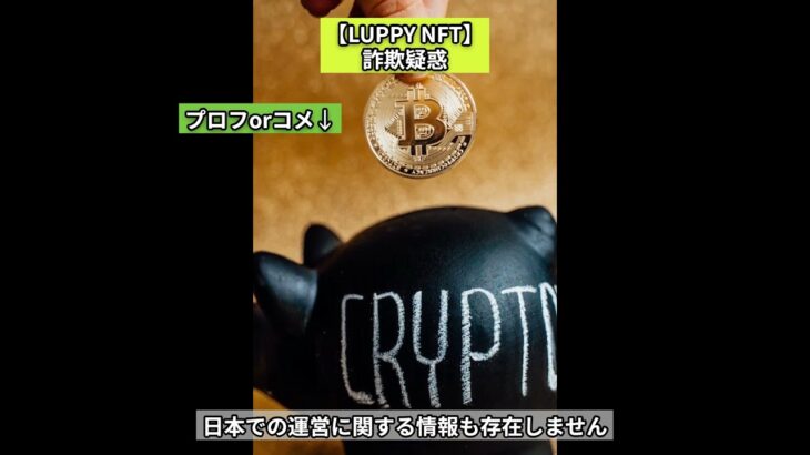 【LUPPY NFT】詐欺疑惑　#投資　#マルチ　#新宿109KENZO