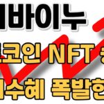 [시바이누] 비트코인 NFT 승인 최대수혜 폭발한다