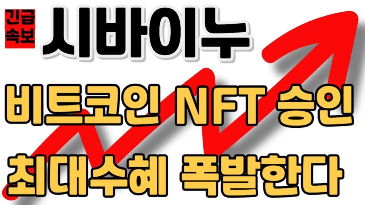 [시바이누] 비트코인 NFT 승인 최대수혜 폭발한다