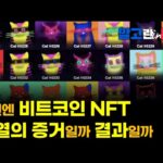 비트코인 NFT 퀀텀캣츠 열풍, NFT 열풍 뒤엔 하락 나왔는데 ㅠ/ 이더리움 ETF, 5월 어렵다는 얘기가 많아요 ㅠ [알고뉴스]