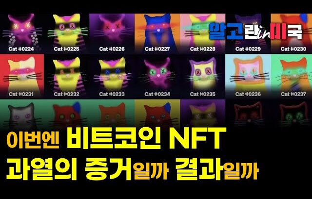 비트코인 NFT 퀀텀캣츠 열풍, NFT 열풍 뒤엔 하락 나왔는데 ㅠ/ 이더리움 ETF, 5월 어렵다는 얘기가 많아요 ㅠ [알고뉴스]