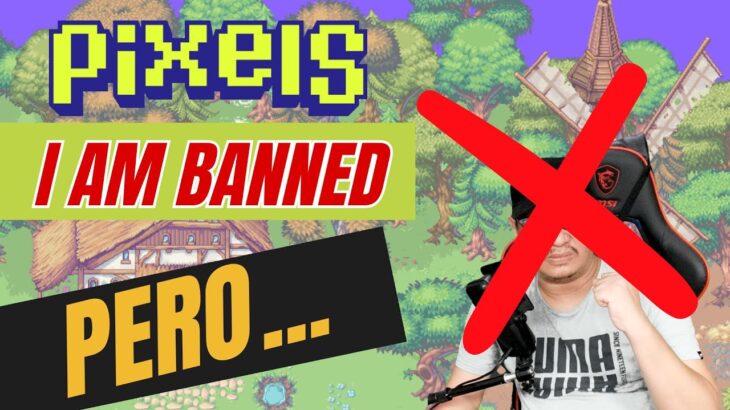 PIXELS NFT BANNED AKO PERO… TIME TO BUY NA BA NG BERRY?