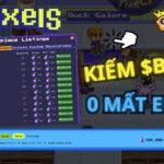 PIXELS NFT GAME | Hướng dẫn chơi game và kiếm tiền #5 | Kiếm $BERRY từ nghề gian thương – trader