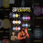 Top 5 Categories of Crypto  #CryptoCategories #BlockchainDiversity #TopCryptoTokens #NFT #Metaverse