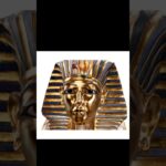 Tutankhamun Brings More Utility with ElmonX!!! #ElmonX #KingTut #nft #giveaways #blockchain