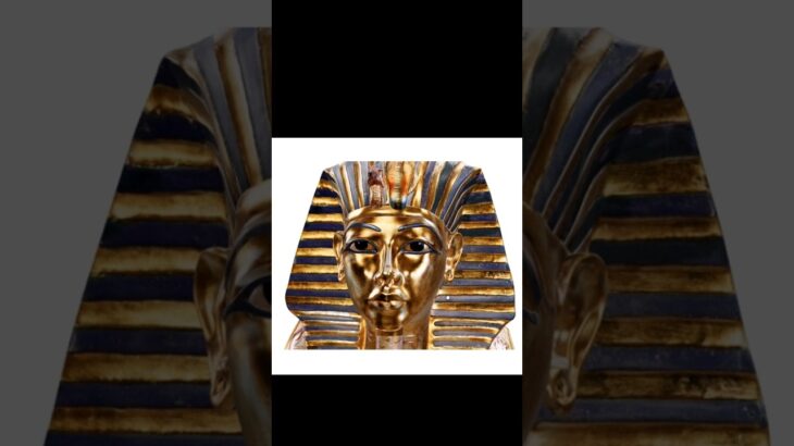 Tutankhamun Brings More Utility with ElmonX!!! #ElmonX #KingTut #nft #giveaways #blockchain