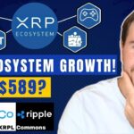 XRP Ecosystem ready for DeFi, NFT’s and dApps with XRPL Commons | Blockchain Interviews