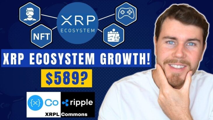 XRP Ecosystem ready for DeFi, NFT’s and dApps with XRPL Commons | Blockchain Interviews