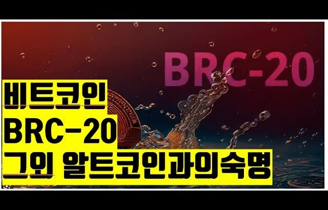 brc 20 coinbase 비트코인 뉴스 스테이블코인  NFT BITCOIN ETH XRP SOL AVAX ADA  CRYPTO블록체인 2025