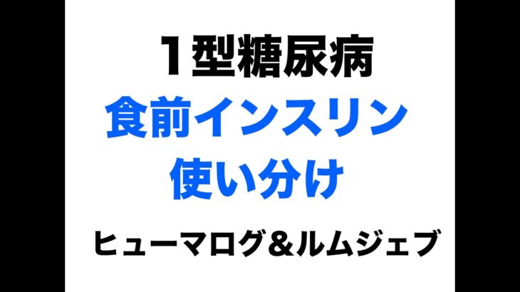 【１型糖尿病】食前インスリンの使い分け〜ヒューマログ＆ルムジェブ〜