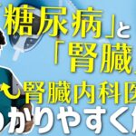 糖尿病と腎臓のことを超丁寧に解説したので聞いていってください。【糖尿病性腎症】