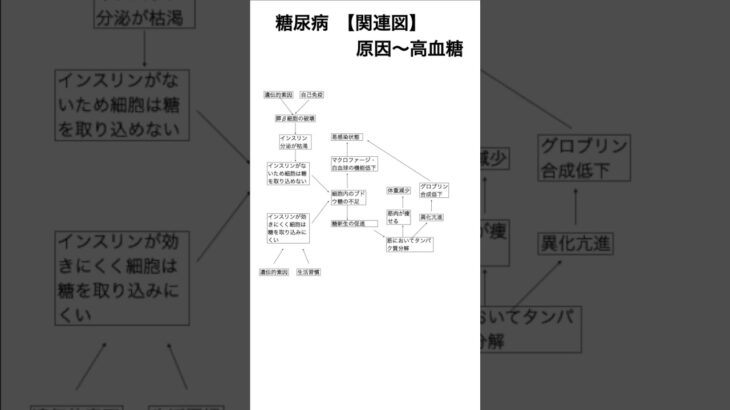 【関連図】糖尿病　原因〜高血糖 #看護師試験 #勉強 #実習生 #看護師国家試験 #看護実習 #看護師 #看護学生