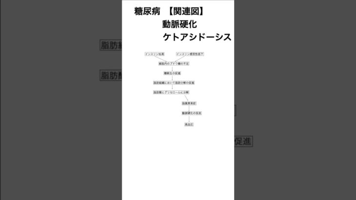 【関連図】糖尿病　動脈硬化•ケトアシドーシス #看護師試験 #勉強 #実習生 #看護師国家試験 #看護実習 #看護師 #看護学生