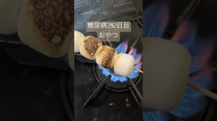 マシュマロのガスコンロ焼きを食べる糖尿病　#糖質制限 #心筋梗塞 #糖尿のグルメ #糖尿病 #血糖値 #食事 #闘病生活 #日常 #vlog 心筋梗塞手術後352日目　糖質制限　血糖値スパイク　おやつ