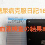 糖尿病克服日記16　血液検査の結果8