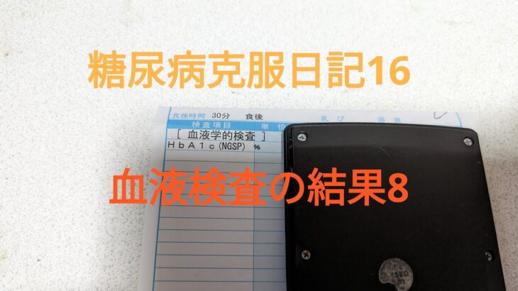 糖尿病克服日記16　血液検査の結果8