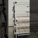 2-meter long 4-tier lay-flat NFT hydroponic system