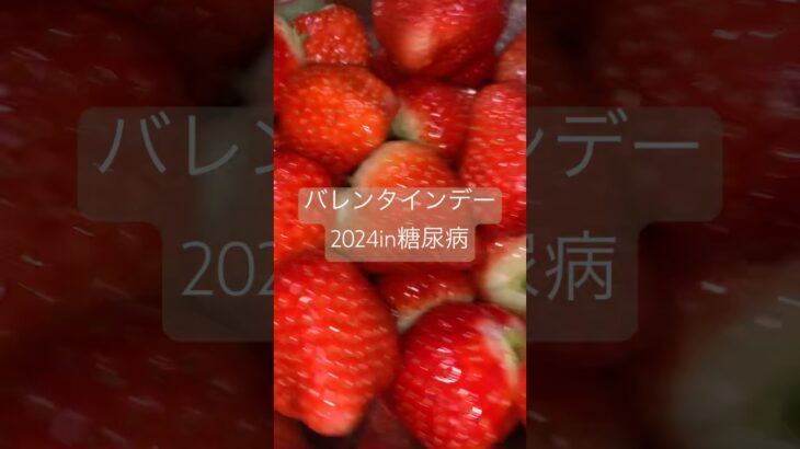 苺とマカロン食べる糖尿病2024バレンタインデーチョコ無し #糖尿のグルメ #バレンタイン #バレンタイン2024 #チョコ　糖質制限　心筋梗塞手術後373日目　おやつ