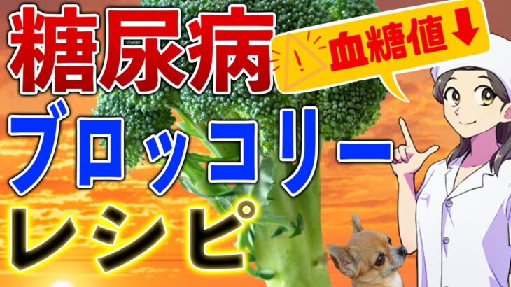 【糖尿病食事療法】迷わず買おうブロッコリー👑2026指定野菜かんたんレシピ