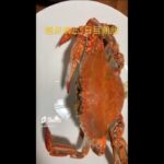 【糖尿病】241-280日目倍速　全飲食物記録　心筋梗塞手術後　食事　 #糖尿のグルメ #糖尿病 #糖尿病の品格