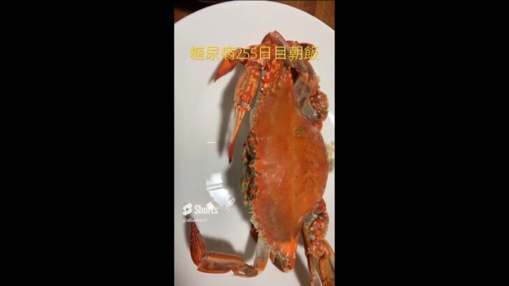 【糖尿病】241-280日目倍速　全飲食物記録　心筋梗塞手術後　食事　 #糖尿のグルメ #糖尿病 #糖尿病の品格