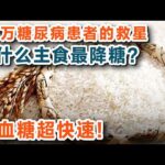 糖尿病吃什么主食最健康？已让35万糖尿病患者受益，这份降糖主食手册一定要收藏！【养生大讲堂】