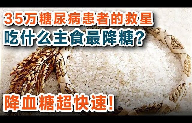 糖尿病吃什么主食最健康？已让35万糖尿病患者受益，这份降糖主食手册一定要收藏！【养生大讲堂】