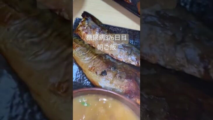 鯖の西京漬けとネギトロ丼食べる糖尿病　心筋梗塞手術後376日目　朝ご飯 #糖尿のグルメ #糖尿病 #心筋梗塞 #糖質制限 #日常 #食事 #vlog #血糖値 糖質制限　血糖値スパイク