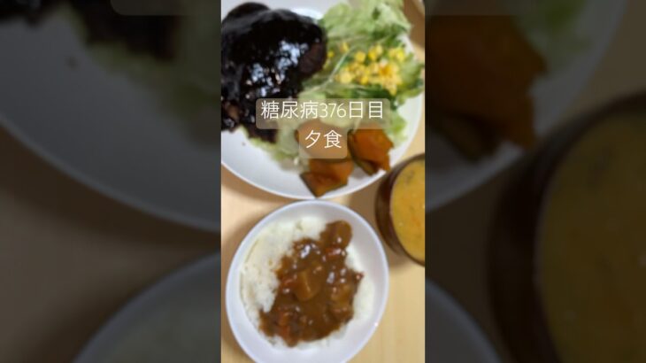 カレーとハンバーグのワンパクセットを食べる糖尿病 心筋梗塞手術後376日目夕食#糖尿のグルメ #糖尿病 #心筋梗塞 #糖質制限 #日常 #食事 #vlog #血糖値 #生活習慣病 糖質制限　血糖値