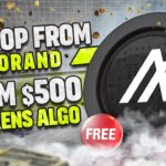 Algo CRYPTO AIRDROP 2024 | Algo FREE CLAIM 500 $ | NFT