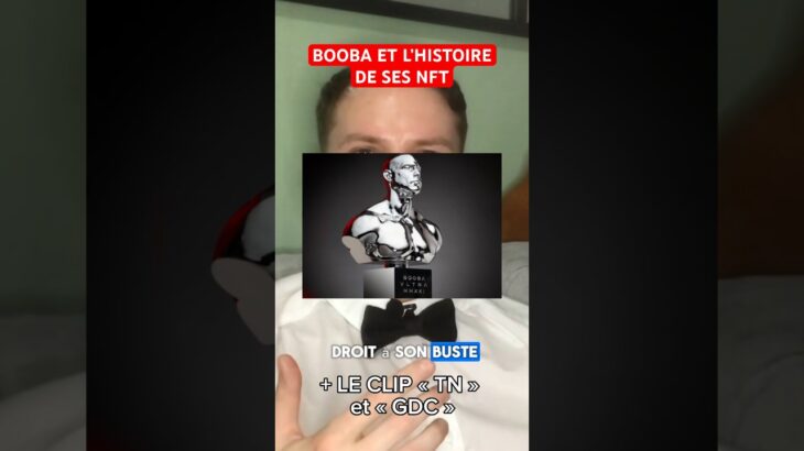 BOOBA ET L’HISTOIRE DE SES NFT 🚨