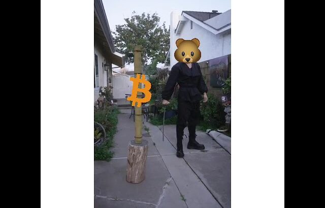 Bear vs Bitcoin  #bitcoin #btc #bitcoinmeme #bitcoinmemes #nft #nftart #nfts  #naiive #naiivecat