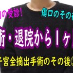 【子宮全摘出/ダヴィンチ手術】その後傷口どうなった？退院後の経過報告第２弾☆【子宮筋腫】【HbA1c】