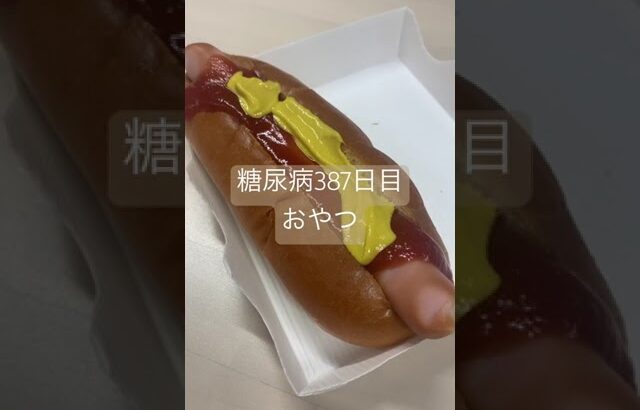 IKEA100円のホットドッグも食べてた糖尿病　心筋梗塞手術後387日目　おやつ　#糖尿病の品格 #糖尿病 #心筋梗塞 #血糖値 #食事 #vlog #日常 #糖質制限 #ikea 糖質制限　血糖値