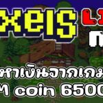 [ LIVE ] Pixels (Game NFT ) : วันนี้ฟาร์มได้ กี่เหรียญกัน EP.61