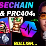 NFT’s and PRC404’s will go BIG on Pulsechain…